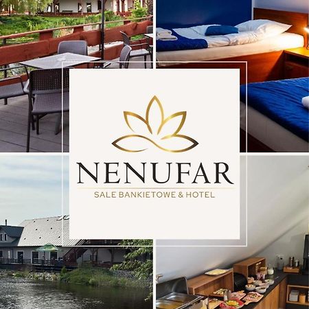 Hotel Nenufar คอสเชียน ภายนอก รูปภาพ